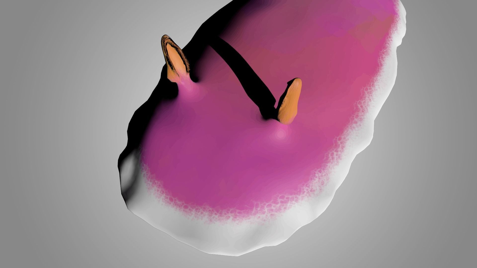 Sea Slug - Nudibranch 3D model_4