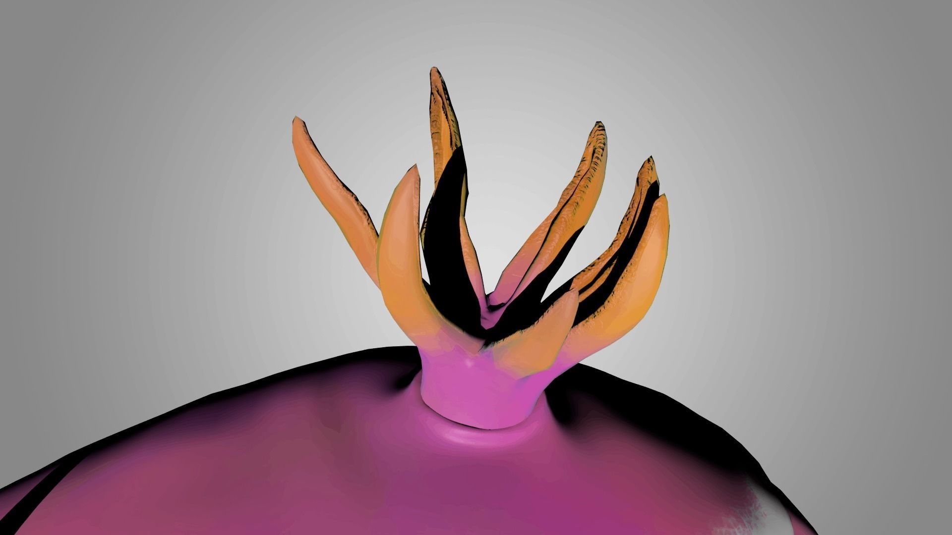 Sea Slug - Nudibranch 3D model_5