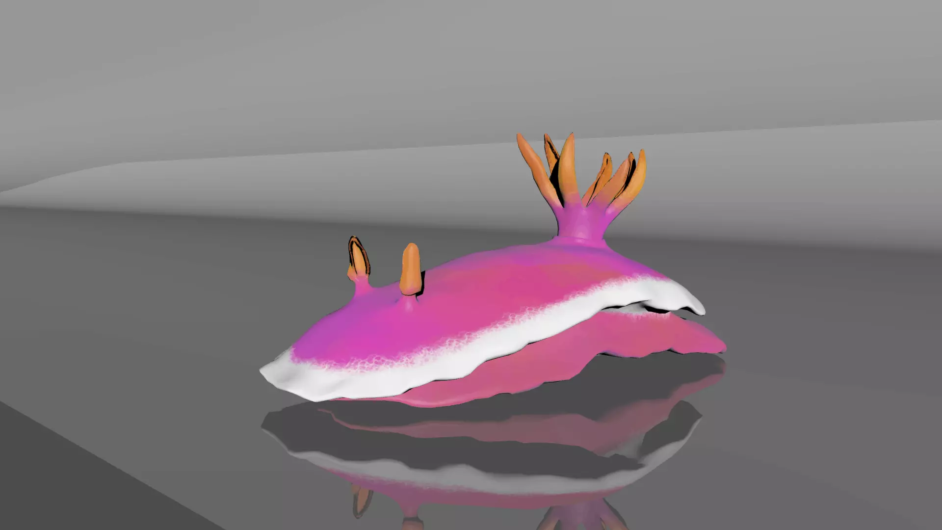 Sea Slug - Nudibranch 3D model_0