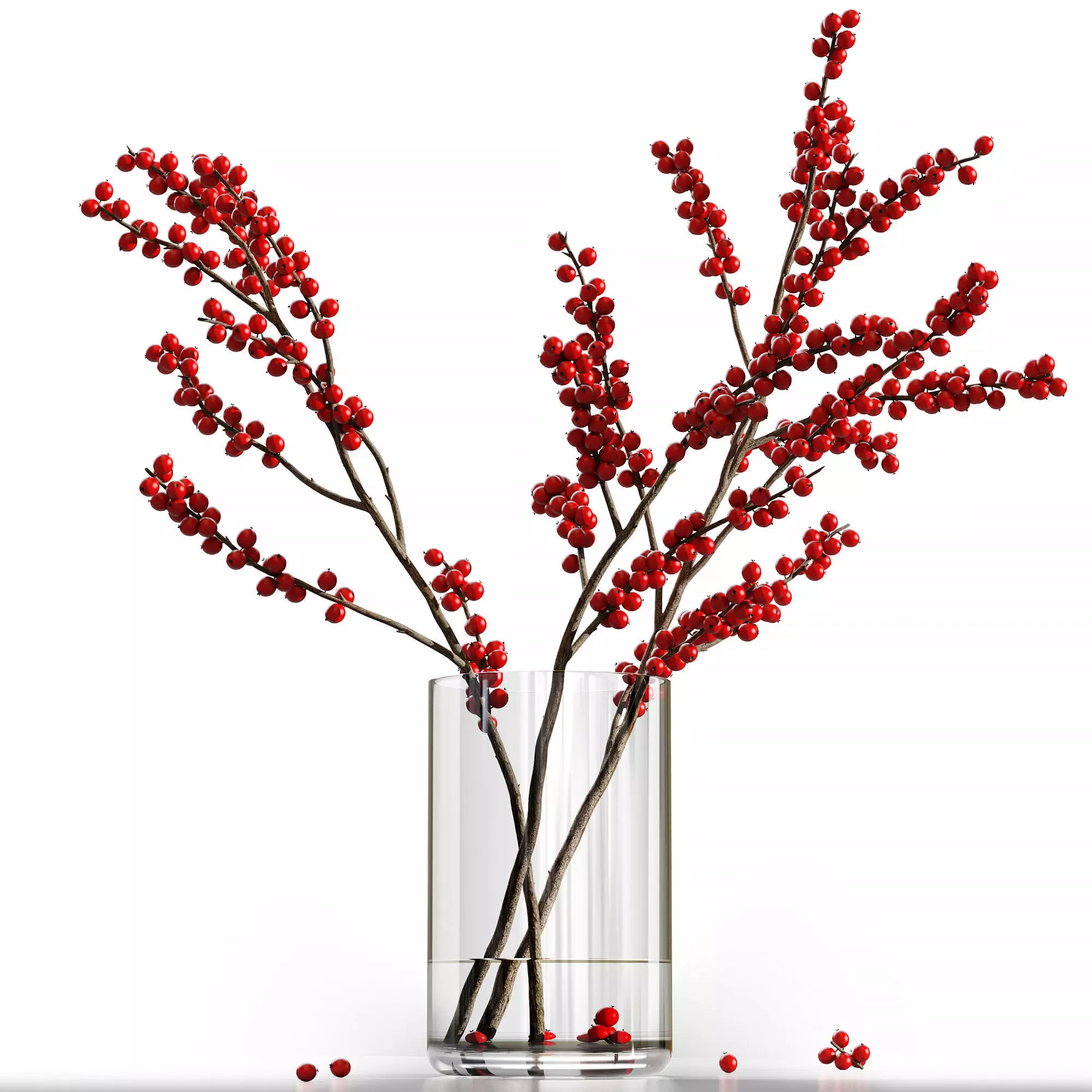 Dry flowers 12 Ilex 3D model_0