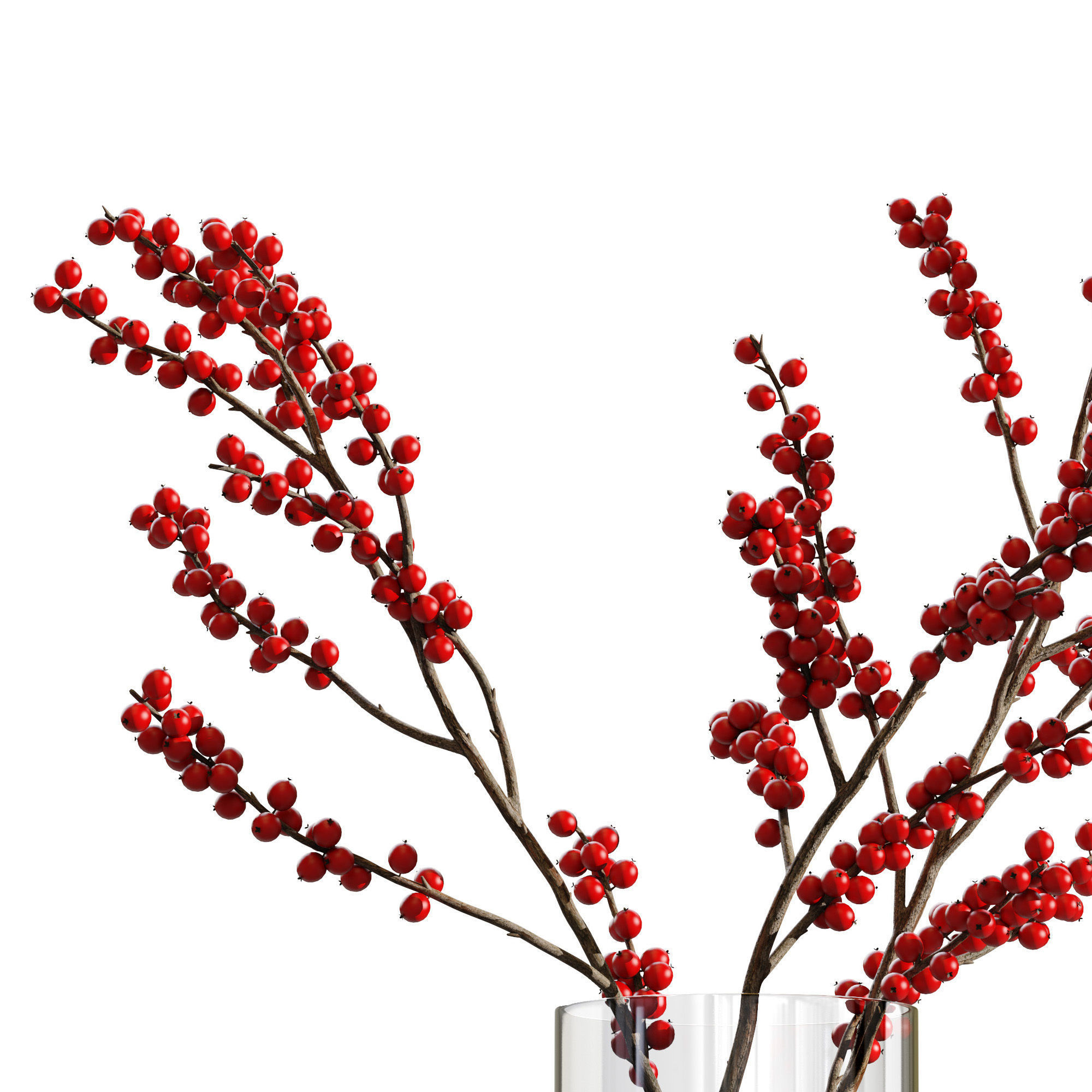 Dry flowers 12 Ilex 3D model_2