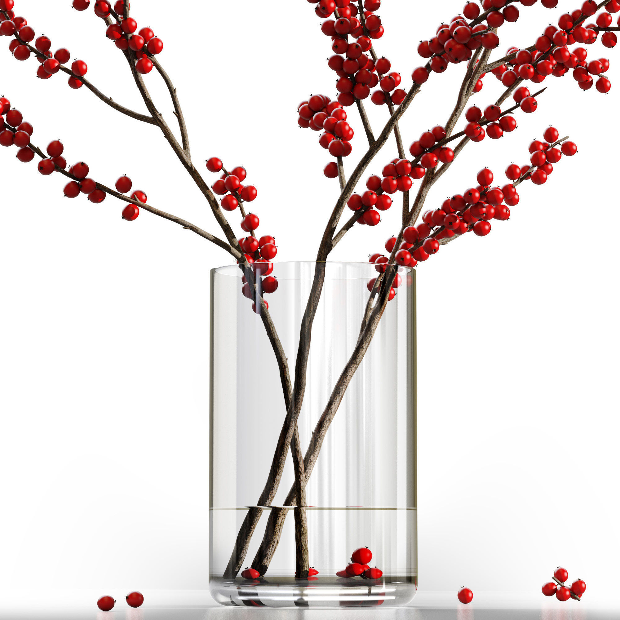 Dry flowers 12 Ilex 3D model_3