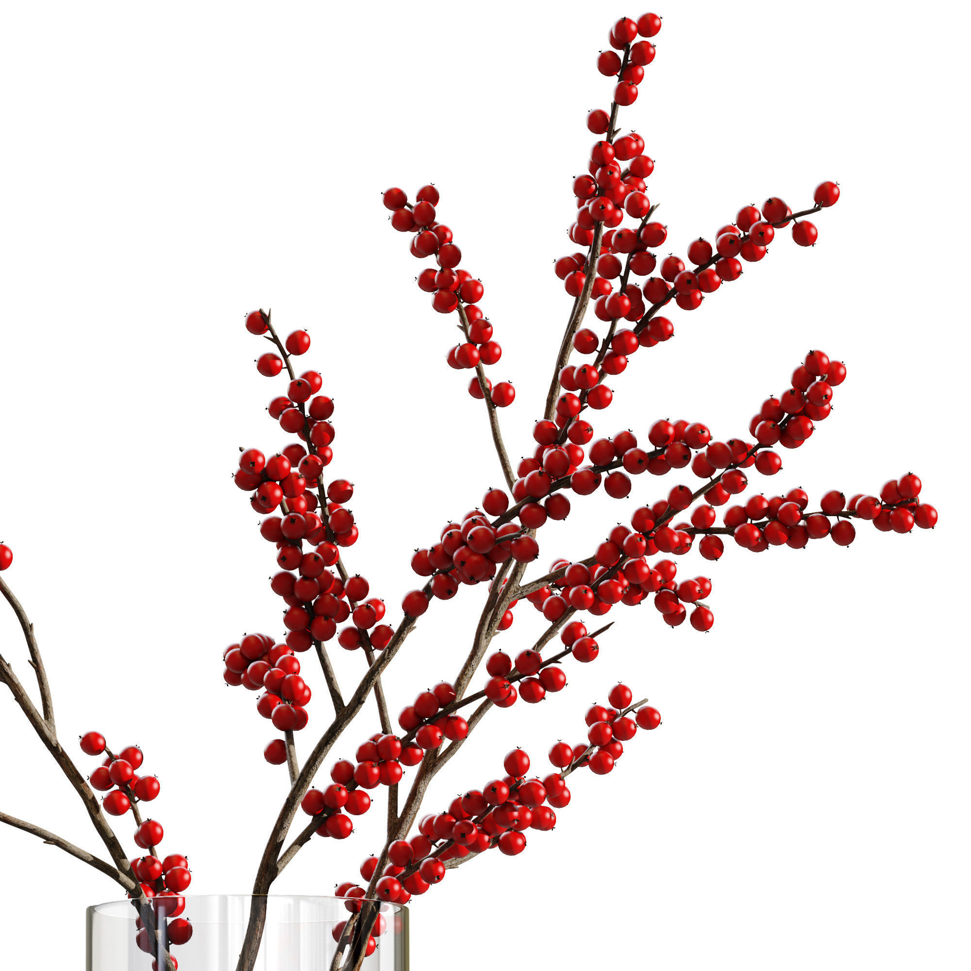 Dry flowers 12 Ilex 3D model_1