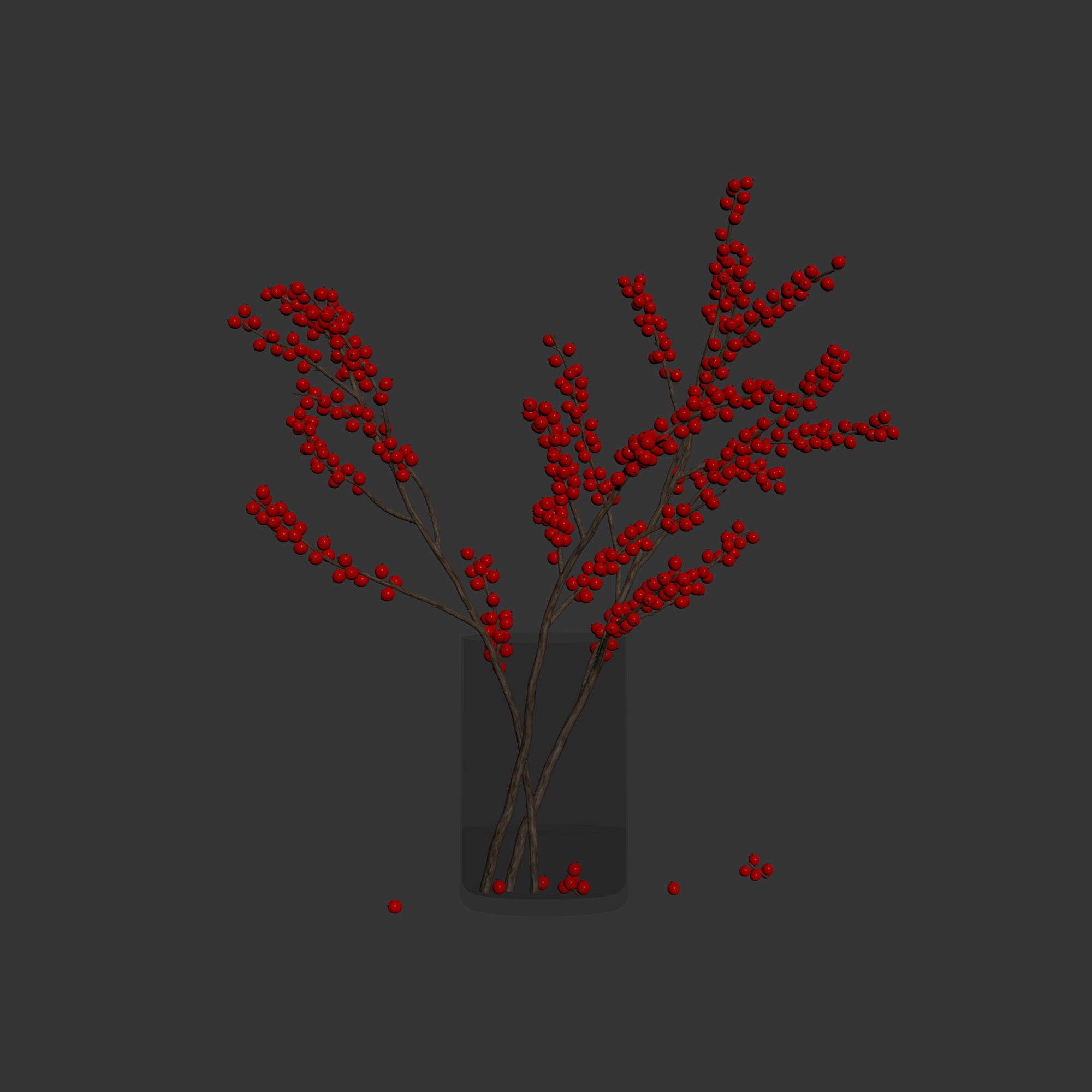 Dry flowers 12 Ilex 3D model_4