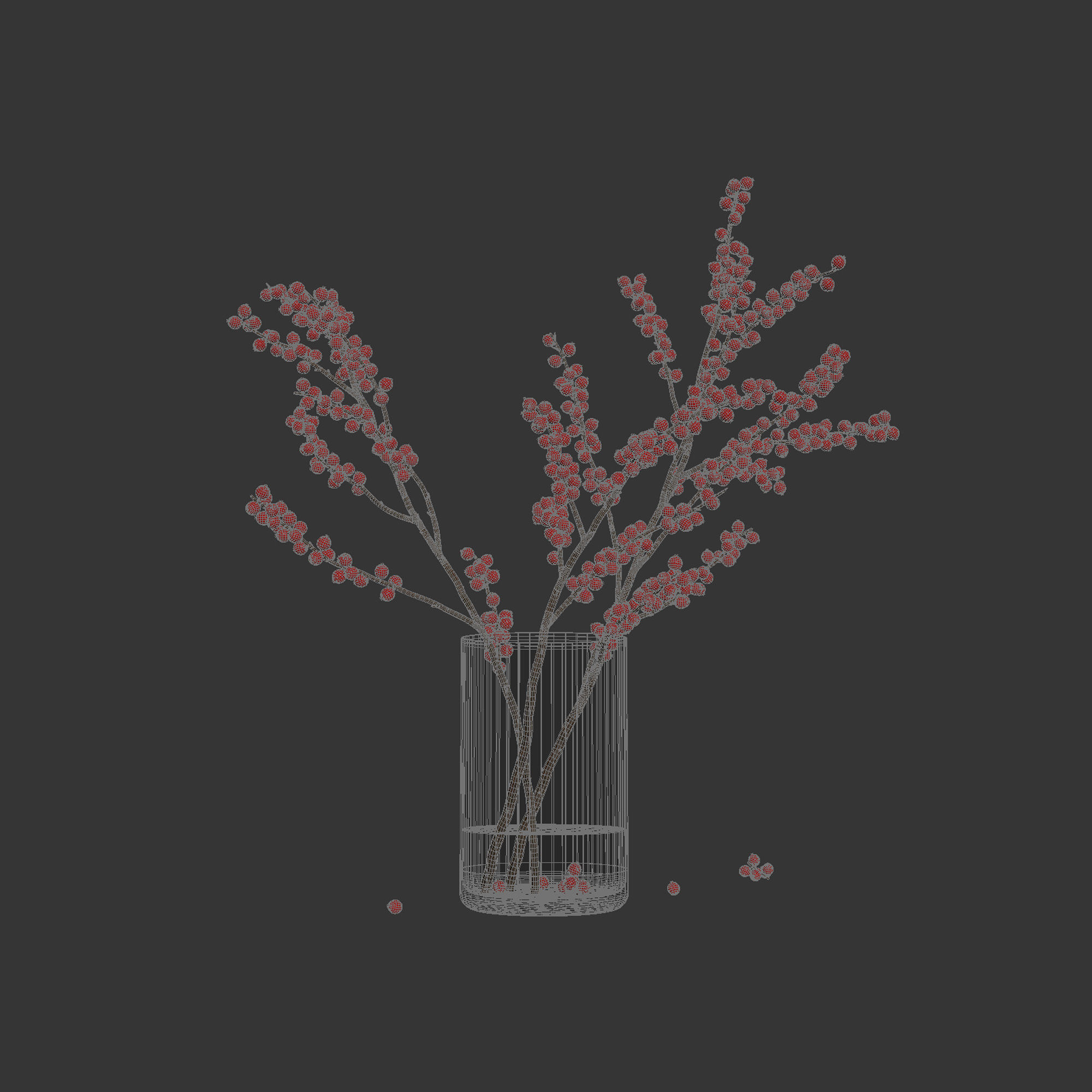 Dry flowers 12 Ilex 3D model_5