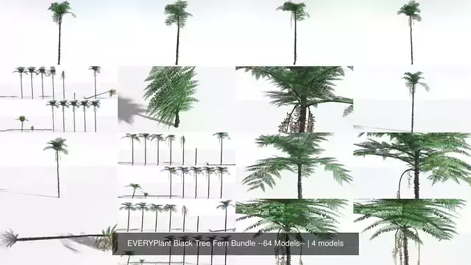 EVERYPlant Black Tree Fern Bundle --64 Models-- 3D Model Collection