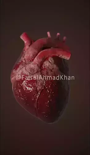 Realistic Animated Human Heart 3D Model 3D model