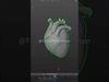 Realistic Animated Human Heart 3D Model 3D model_1