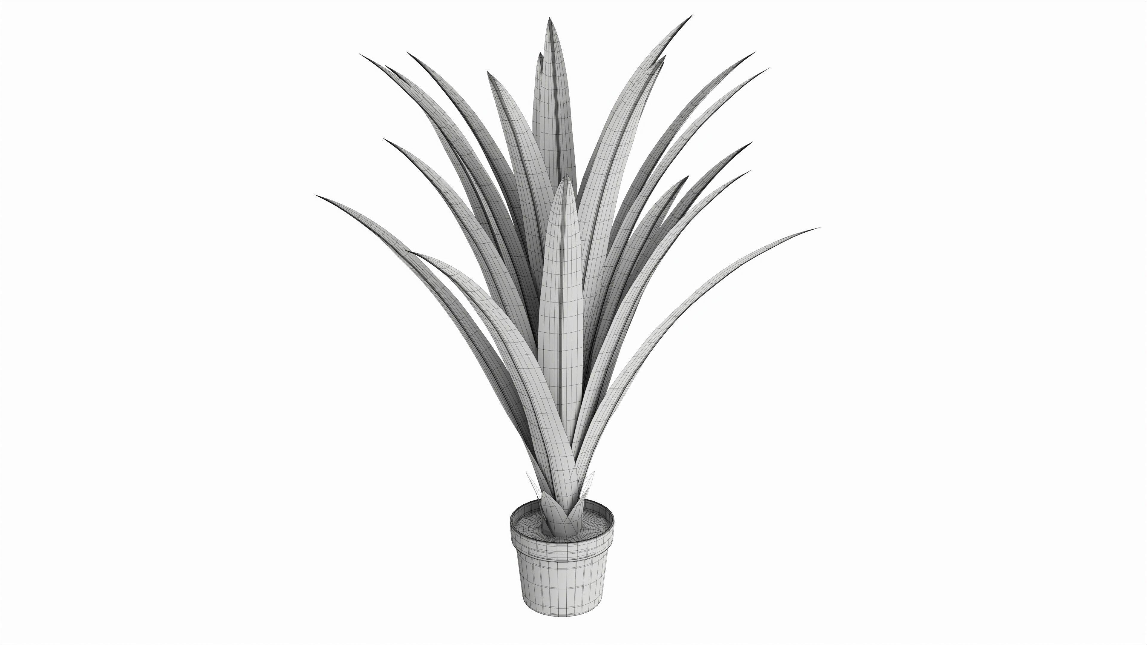 Artificial Yucca Plant in Pot 3D model_5