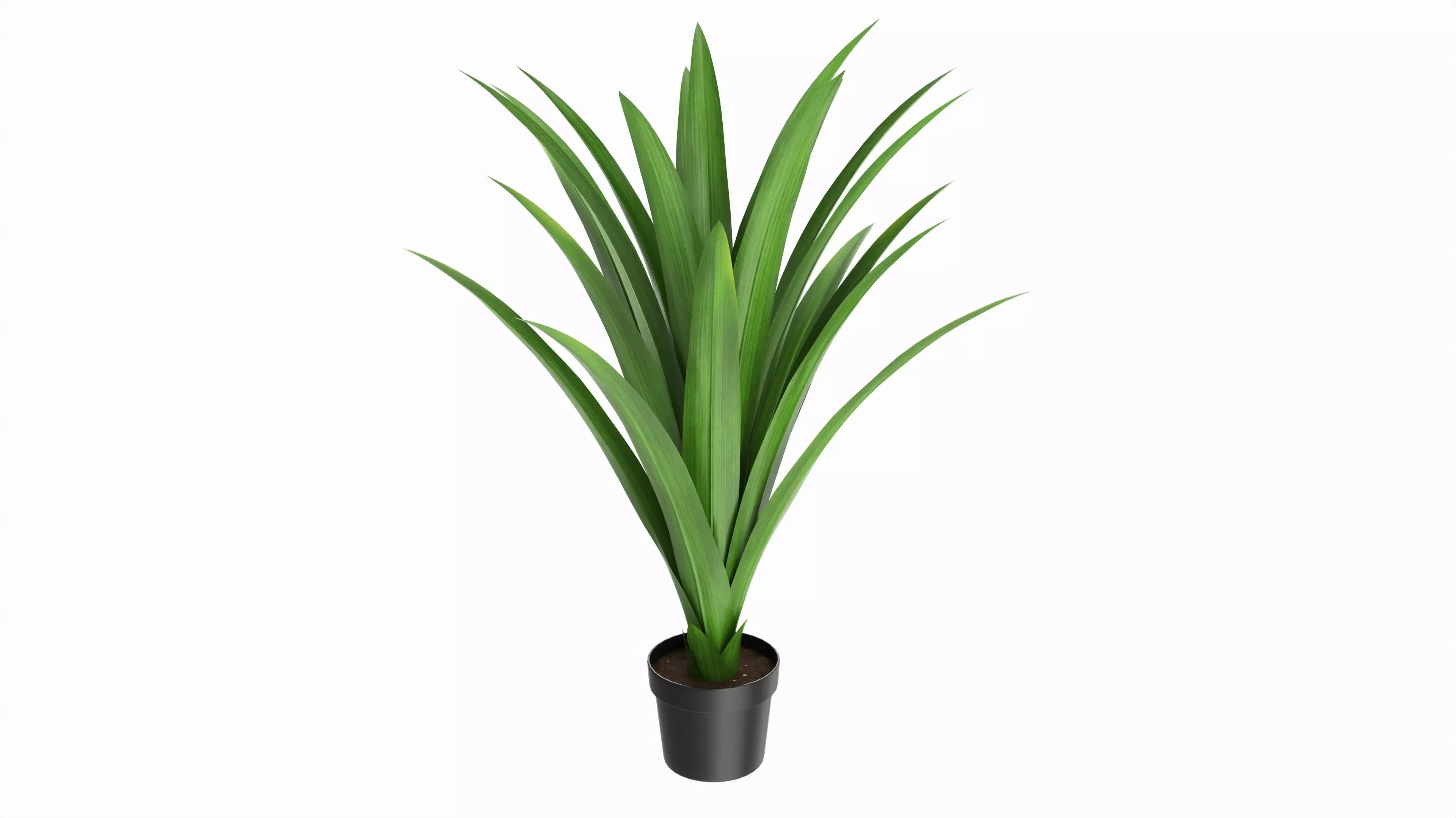Artificial Yucca Plant in Pot 3D model_0