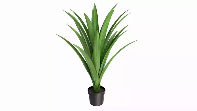 Artificial Yucca Plant in Pot 3D model
