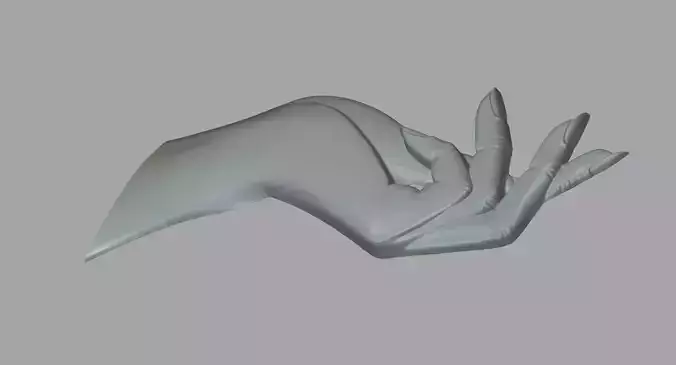 Hand 06 3D print model