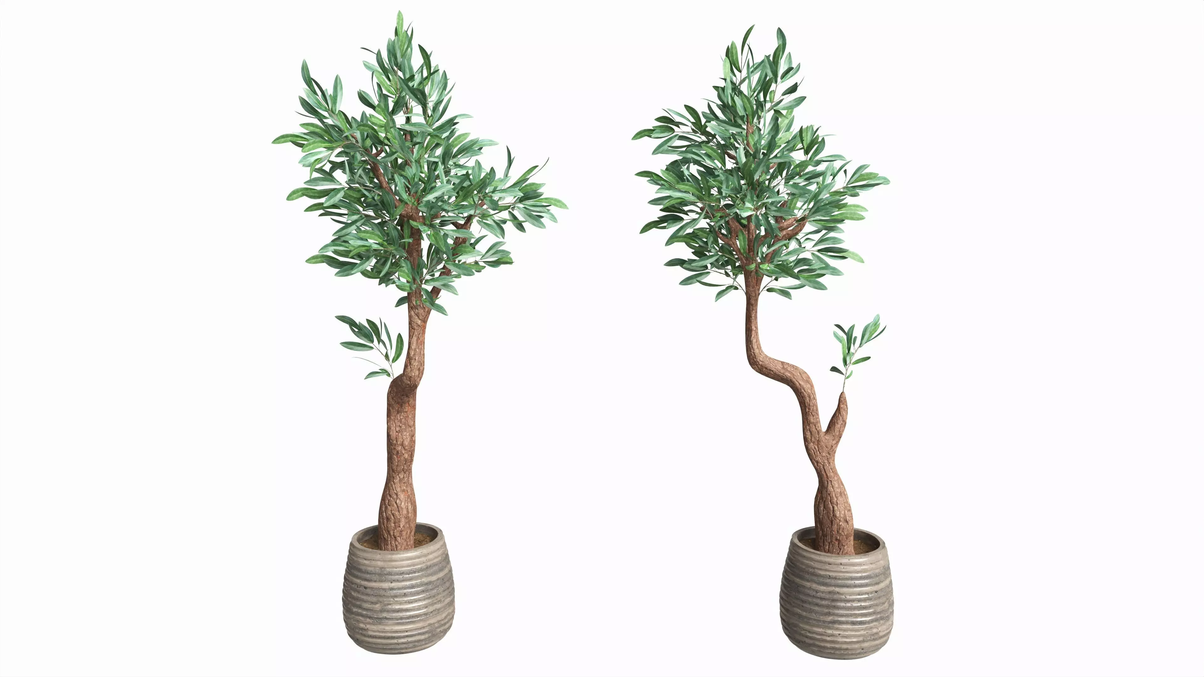 Artificial Olive Tree with plantpot 3D model