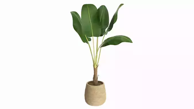 Baa artificial plant with plantpot