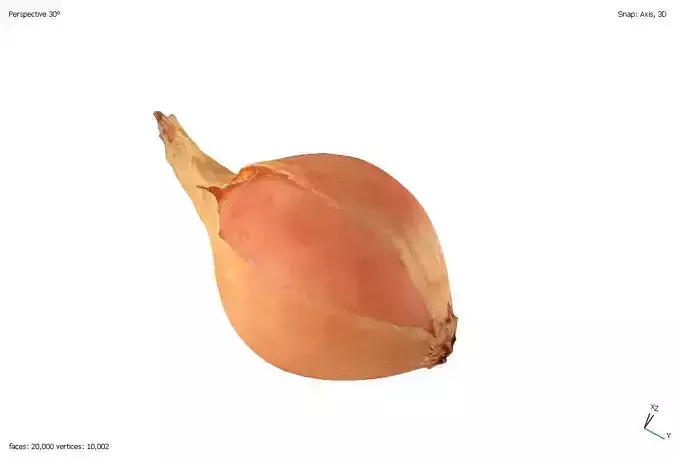 Two models of onions