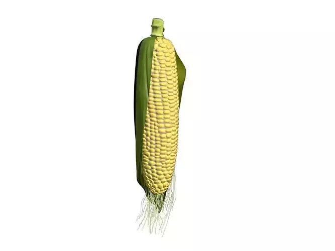 Ear of corn Low-poly 3D model