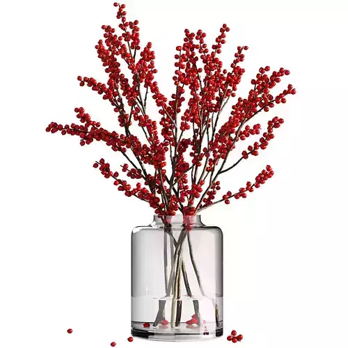 Dry flowers 13 Ilex 3D model