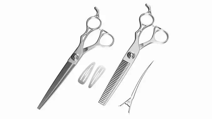 Hair Cutting Thinning Scissors Set Steel 3D model