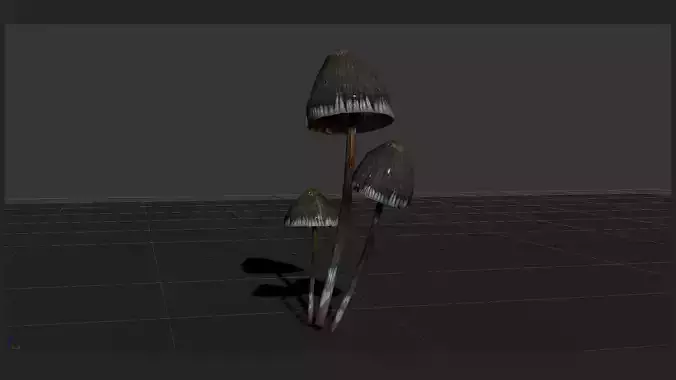 mushrooms collection