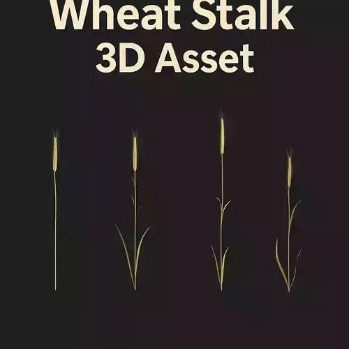 Wheat stalk 3D model