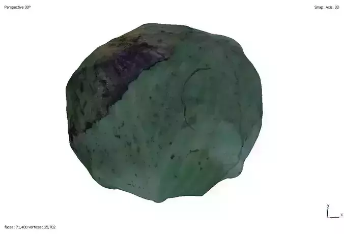 Two models of cabbage