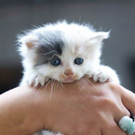 Bedroom Interior 3D Model 3D model_7