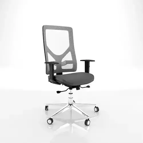Ergonomic office chair koko net