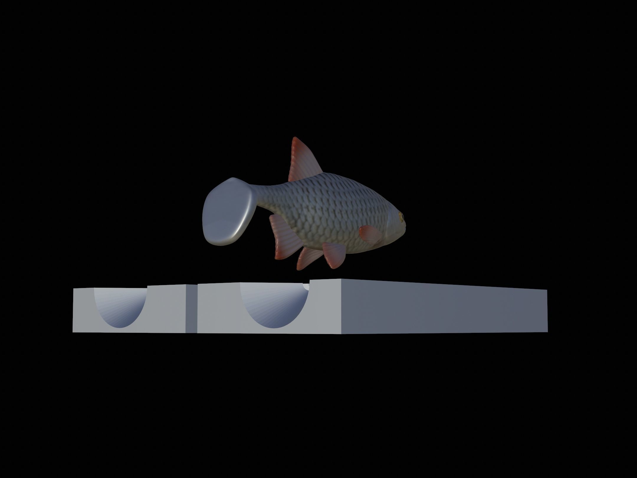 Am bait common rudd  for predator fishing 3D print model_10
