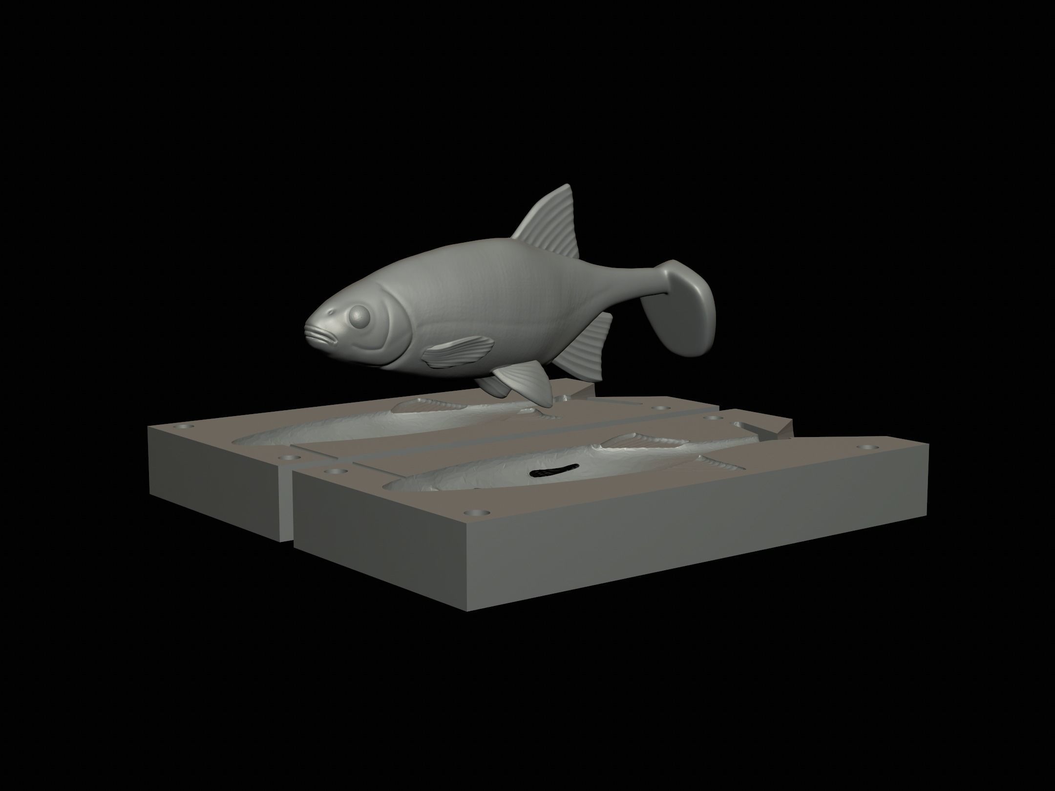 Am bait common rudd  for predator fishing 3D print model_11