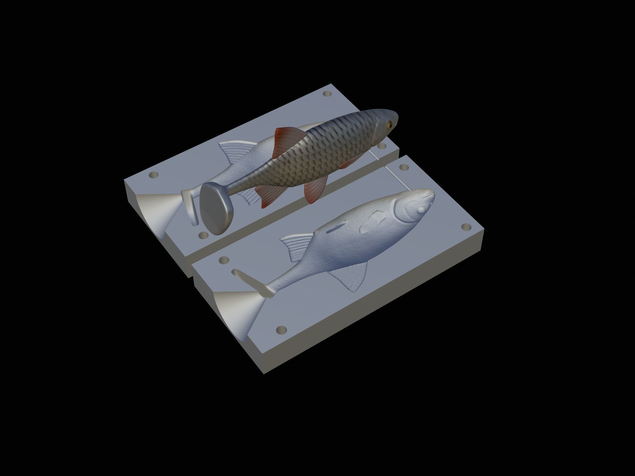 Am bait common rudd  for predator fishing 3D print model_6