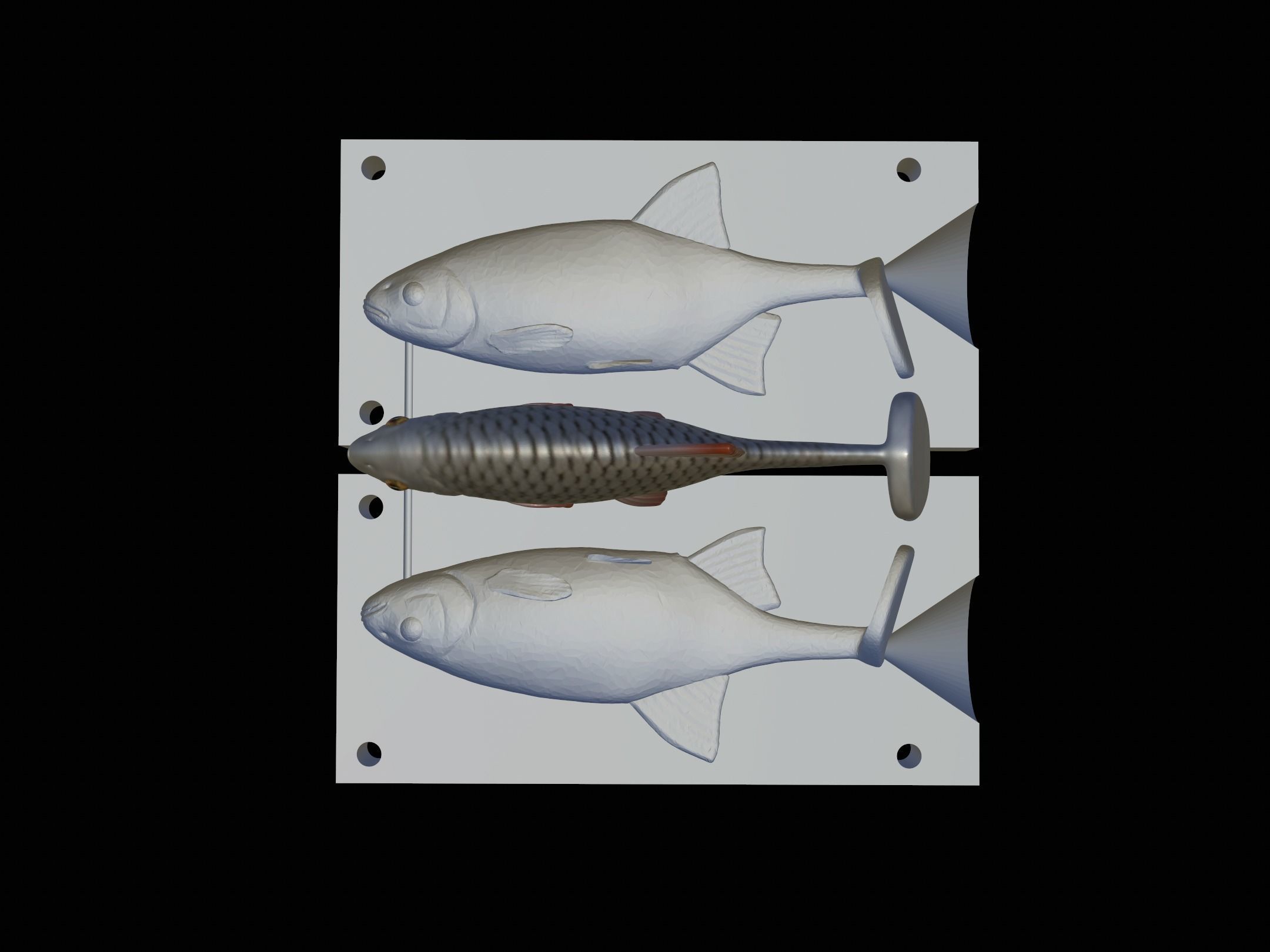 Am bait common rudd  for predator fishing 3D print model_4