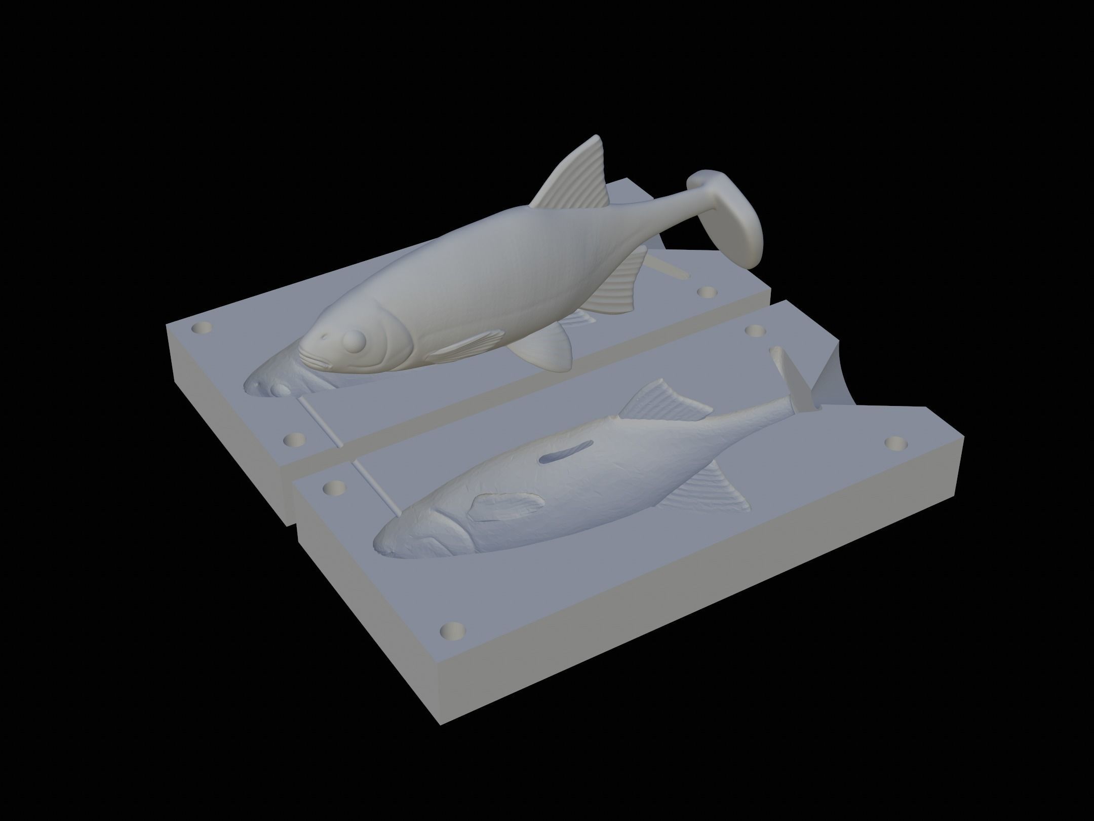 Am bait common rudd  for predator fishing 3D print model_3