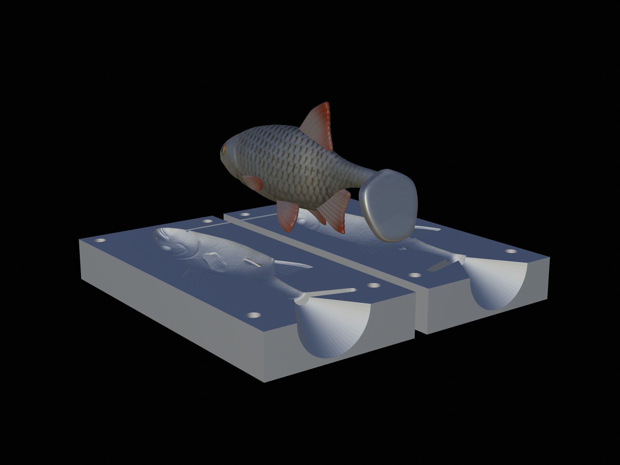 Am bait common rudd  for predator fishing 3D print model_5