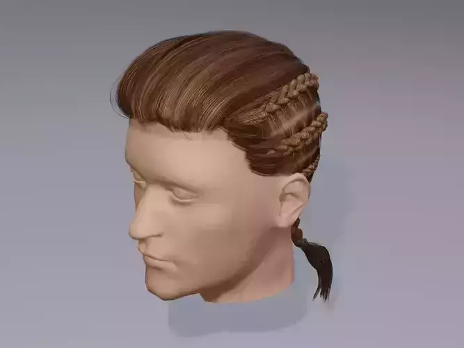  Viking male braided hair 3d Model 