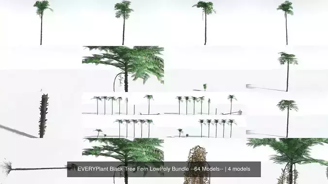 EVERYPlant Black Tree Fern LowPoly Bundle --64 Models-- 3D Model Collection