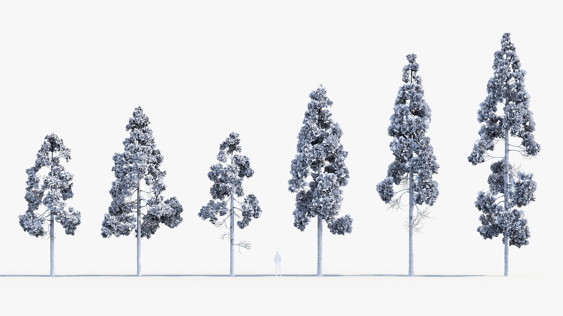 Plant Package 02 Pine 3D model_29