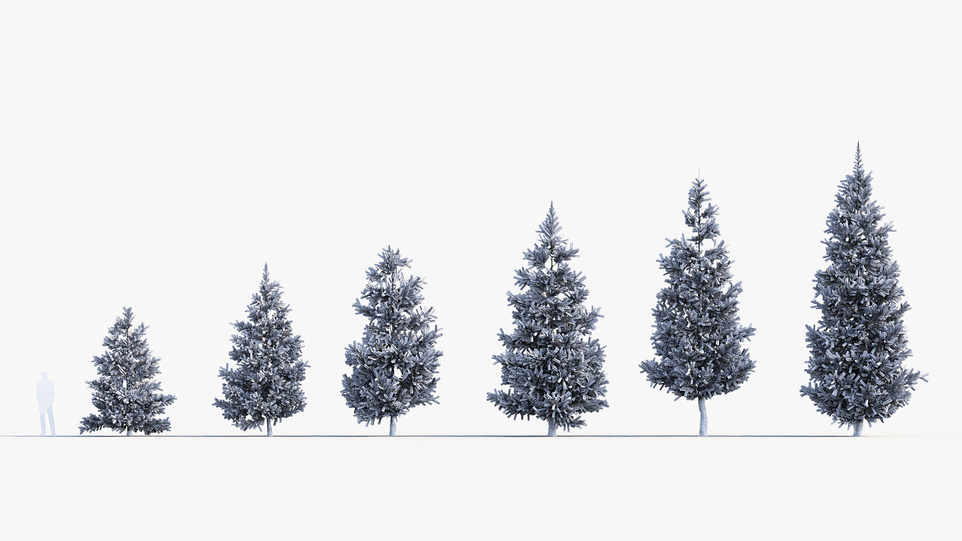 Plant Package 02 Pine 3D model_57