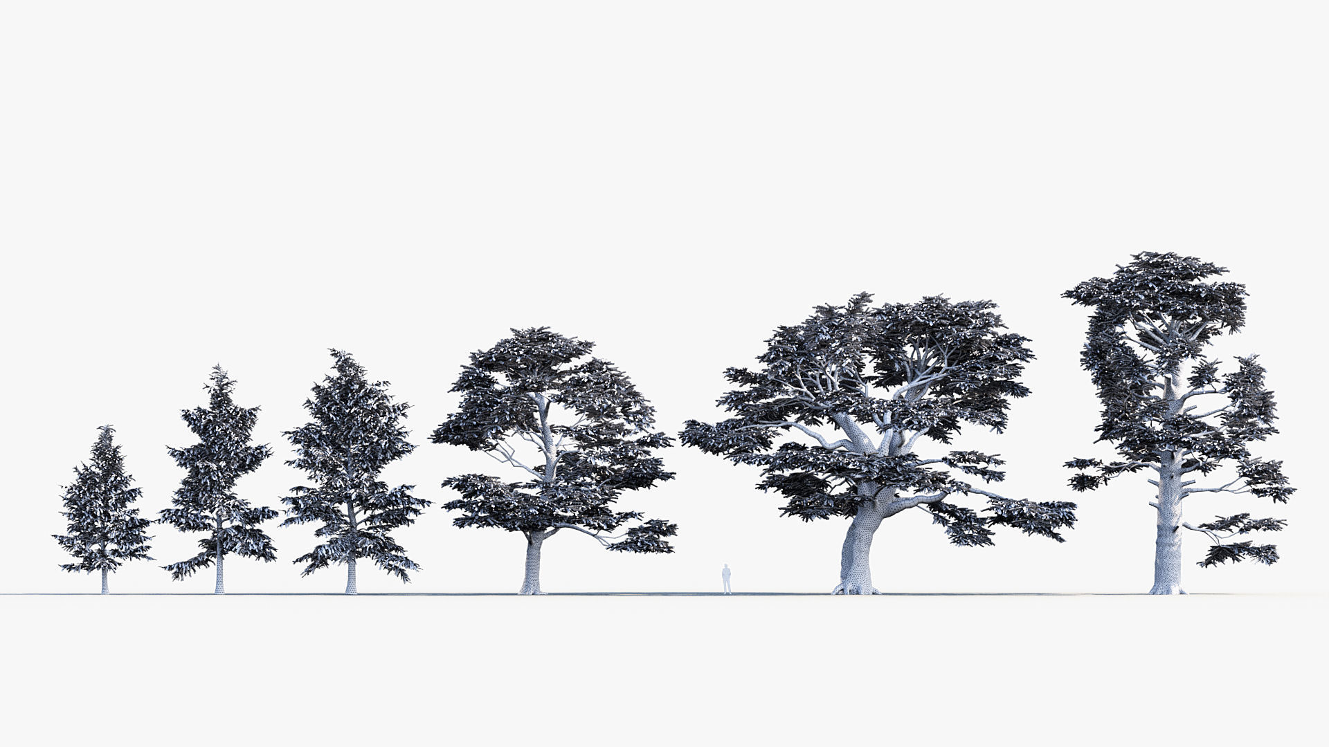 Plant Package 02 Pine 3D model_43