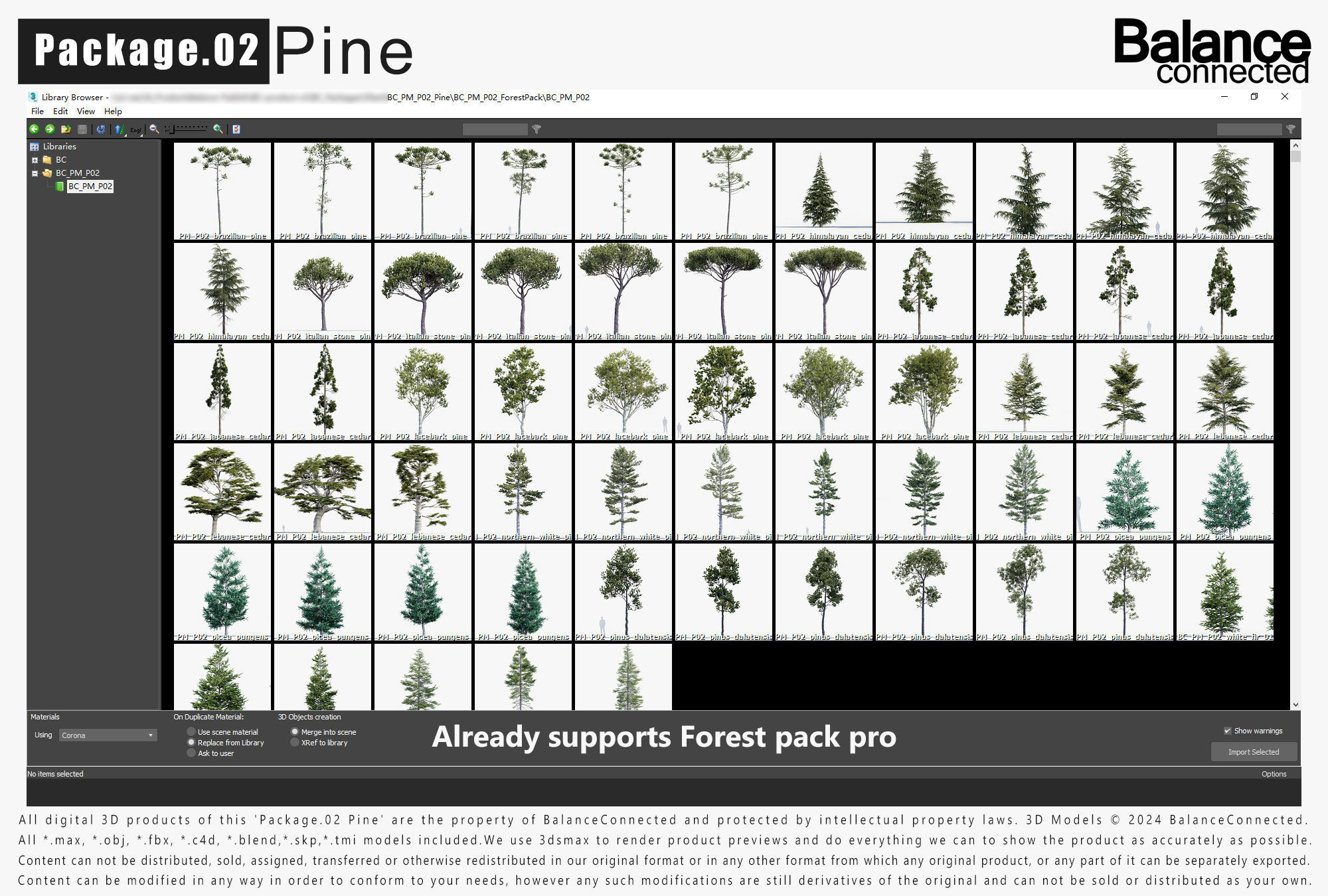 Plant Package 02 Pine 3D model_1