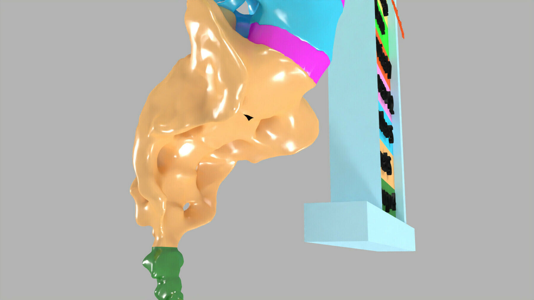 ribs and vertebrae color coded animated 3D model_17