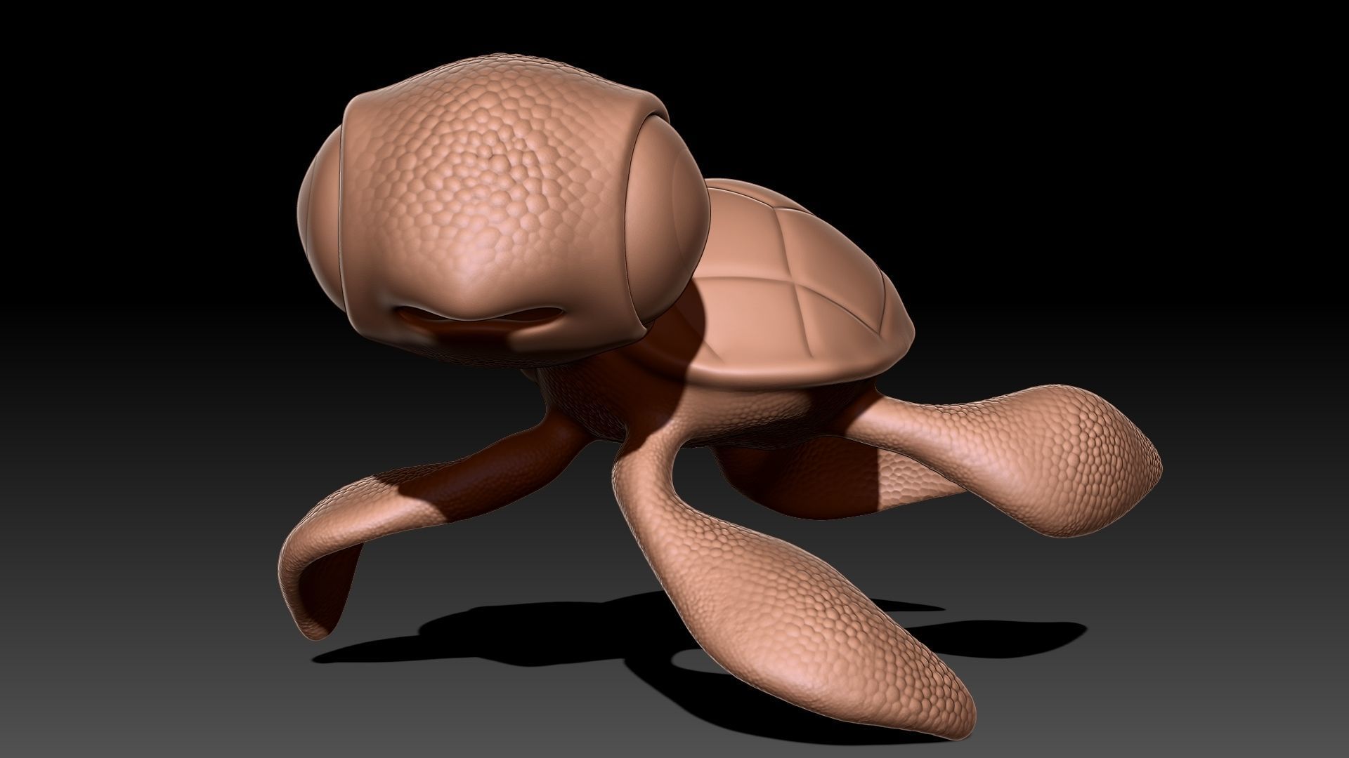 Sea Turtle 3D print model_5