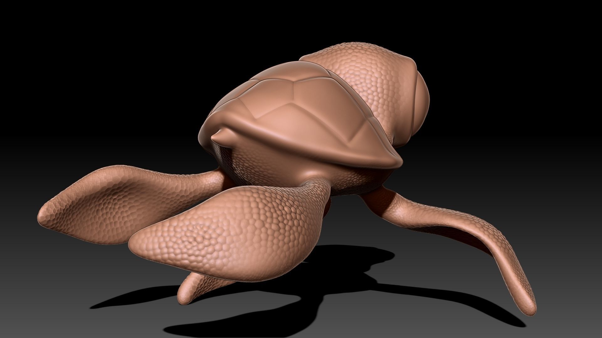 Sea Turtle 3D print model_3