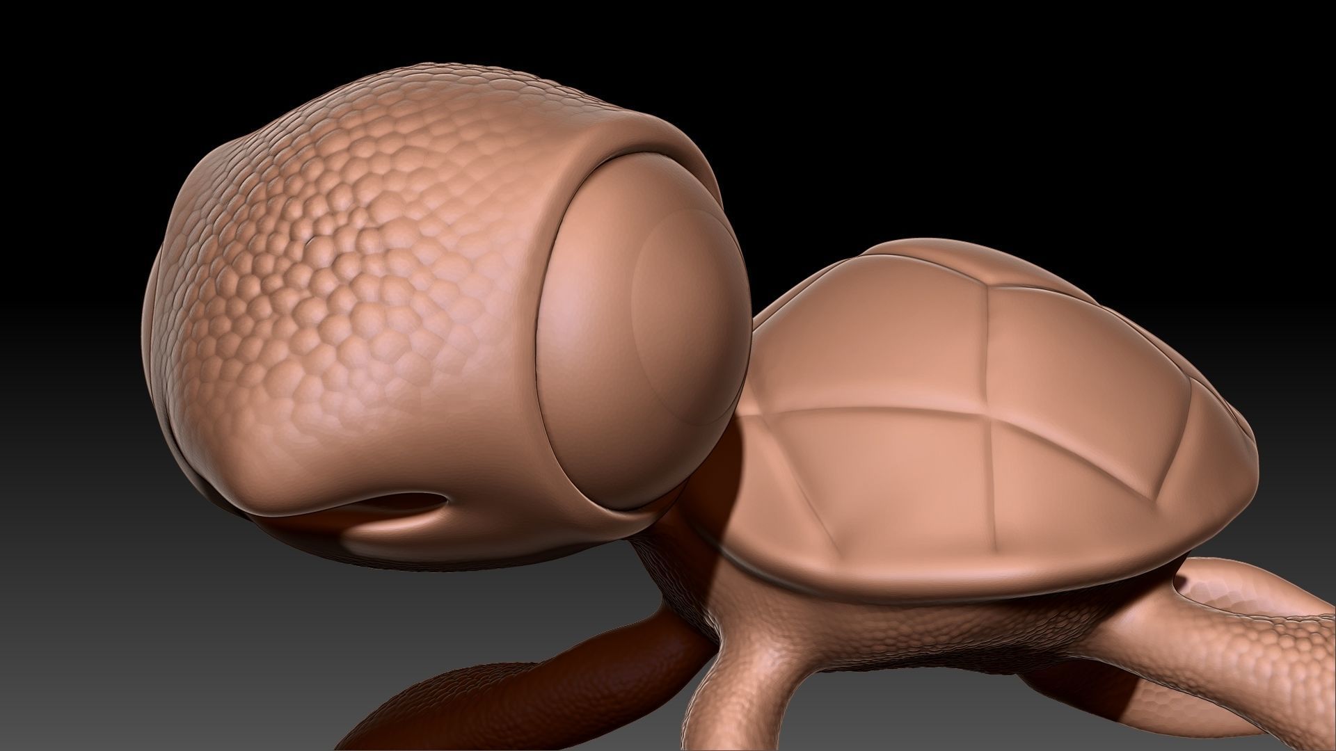 Sea Turtle 3D print model_1