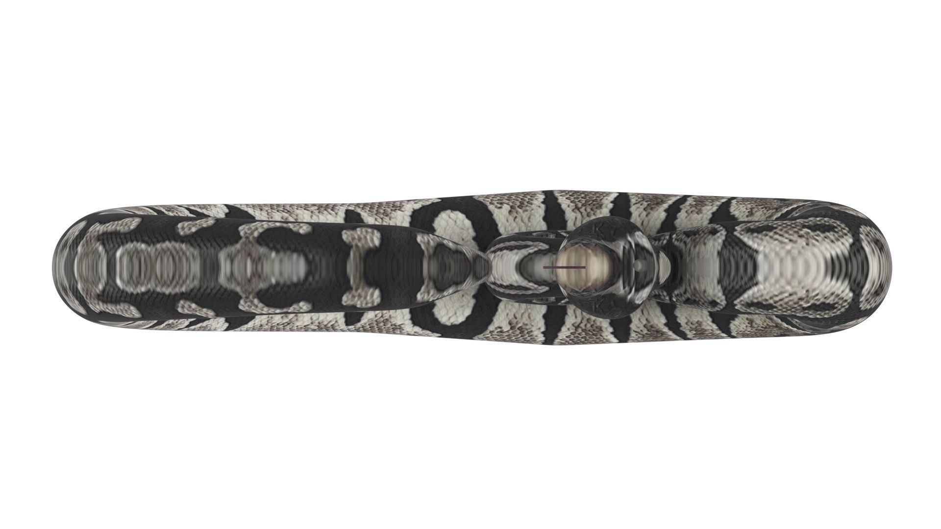 Axanthic Ball Python Snake 3D model_14