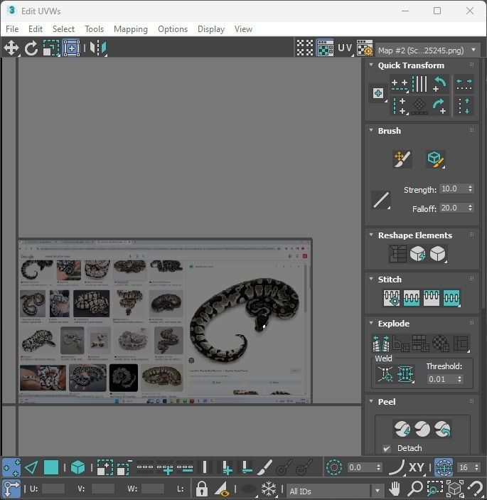 Axanthic Ball Python Snake 3D model_32