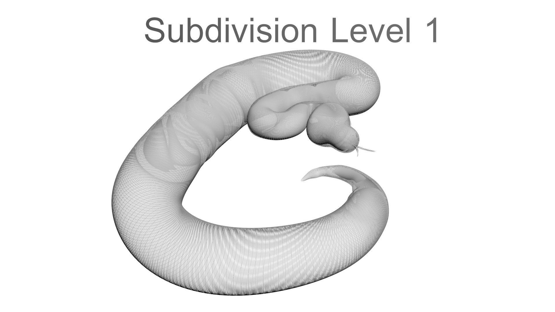 Axanthic Ball Python Snake 3D model_29