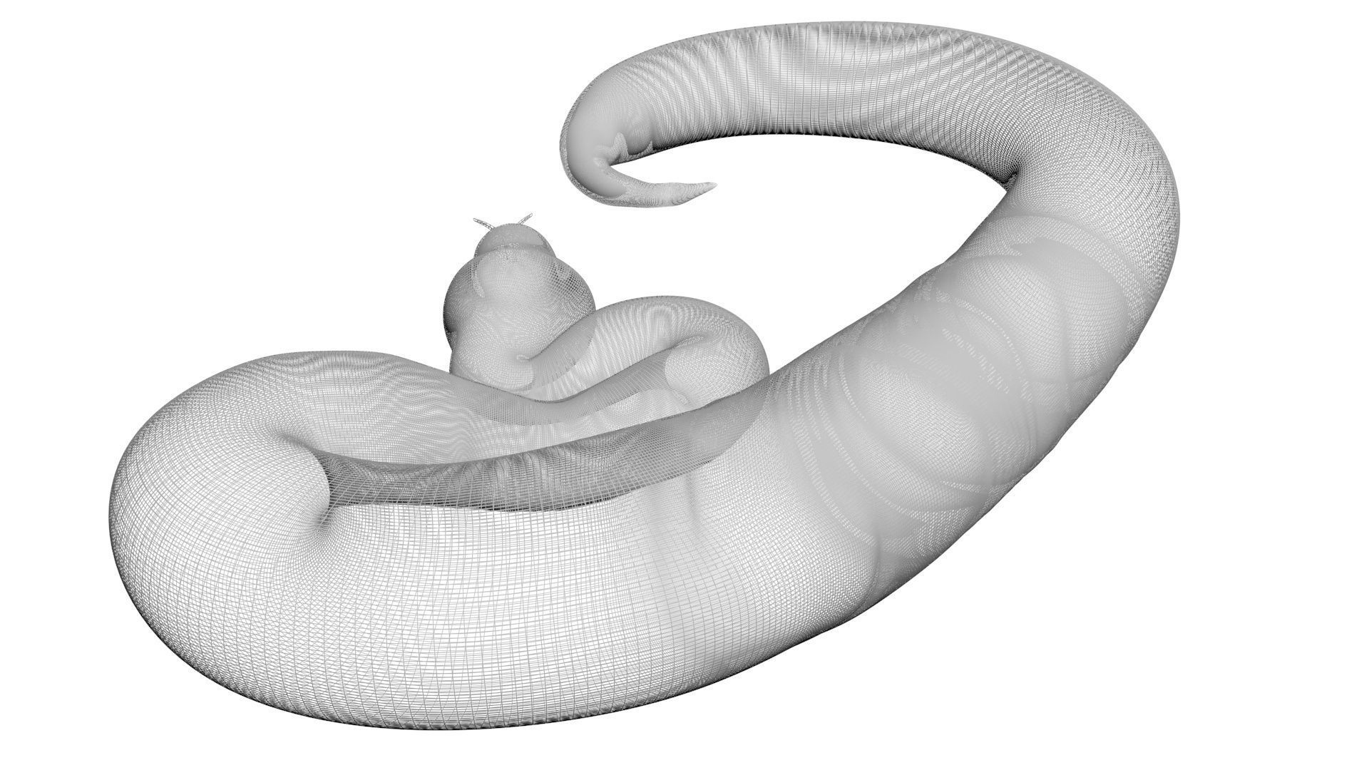 Axanthic Ball Python Snake 3D model_21
