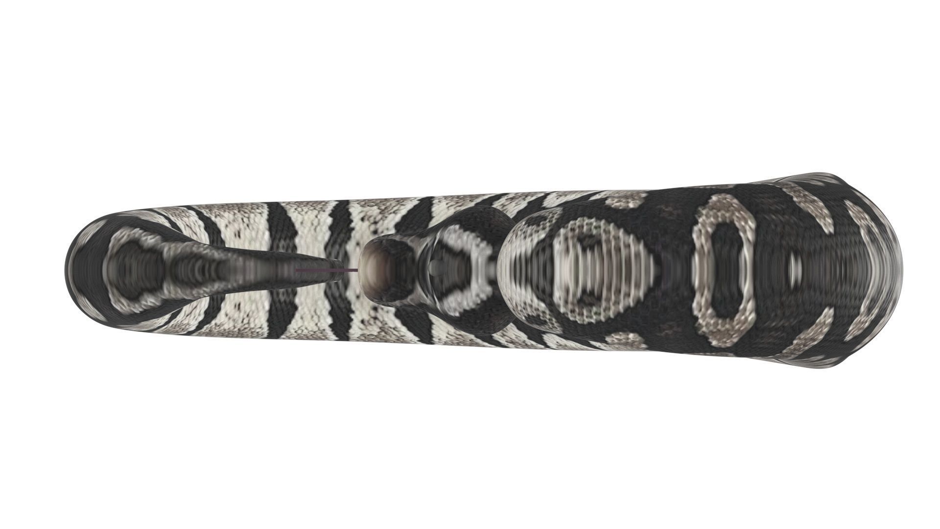 Axanthic Ball Python Snake 3D model_18