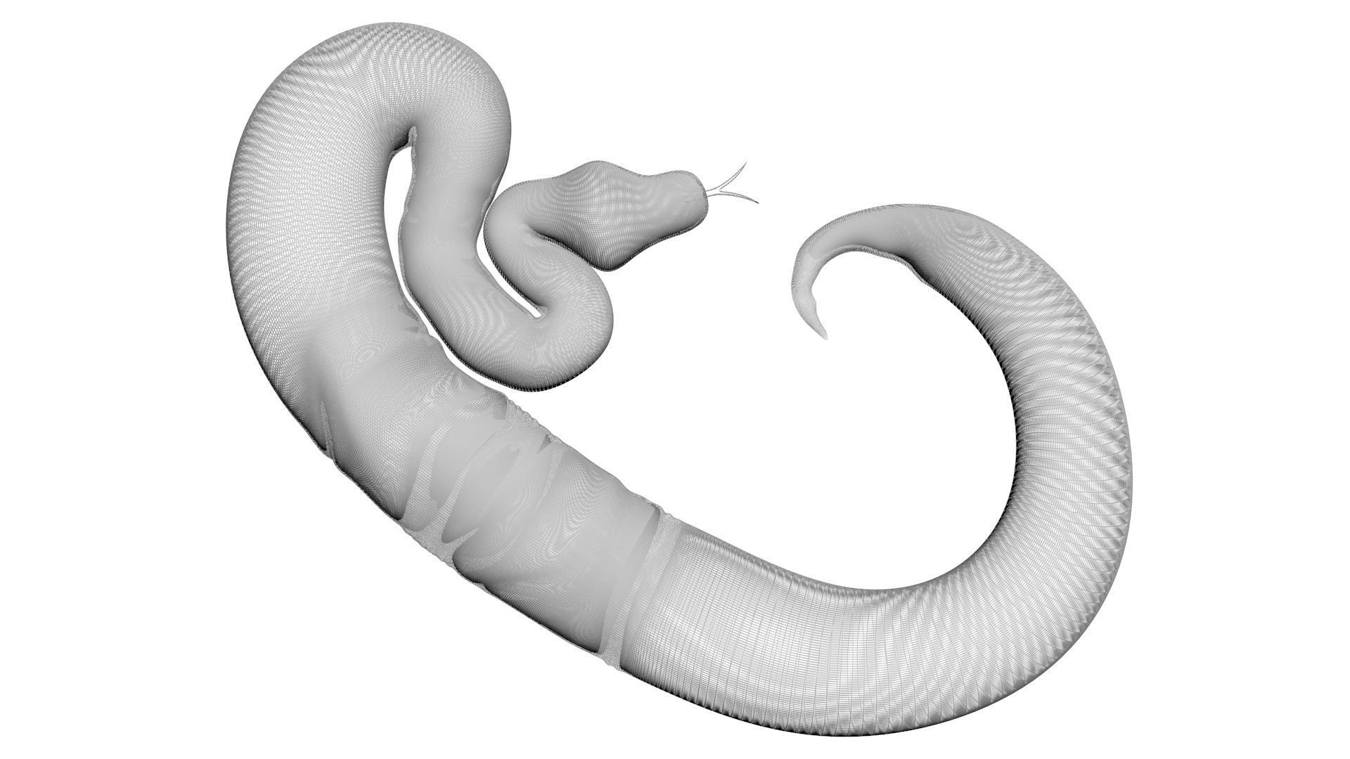Axanthic Ball Python Snake 3D model_22