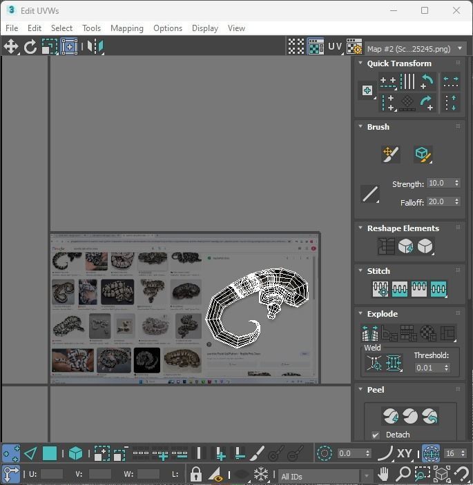 Axanthic Ball Python Snake 3D model_31